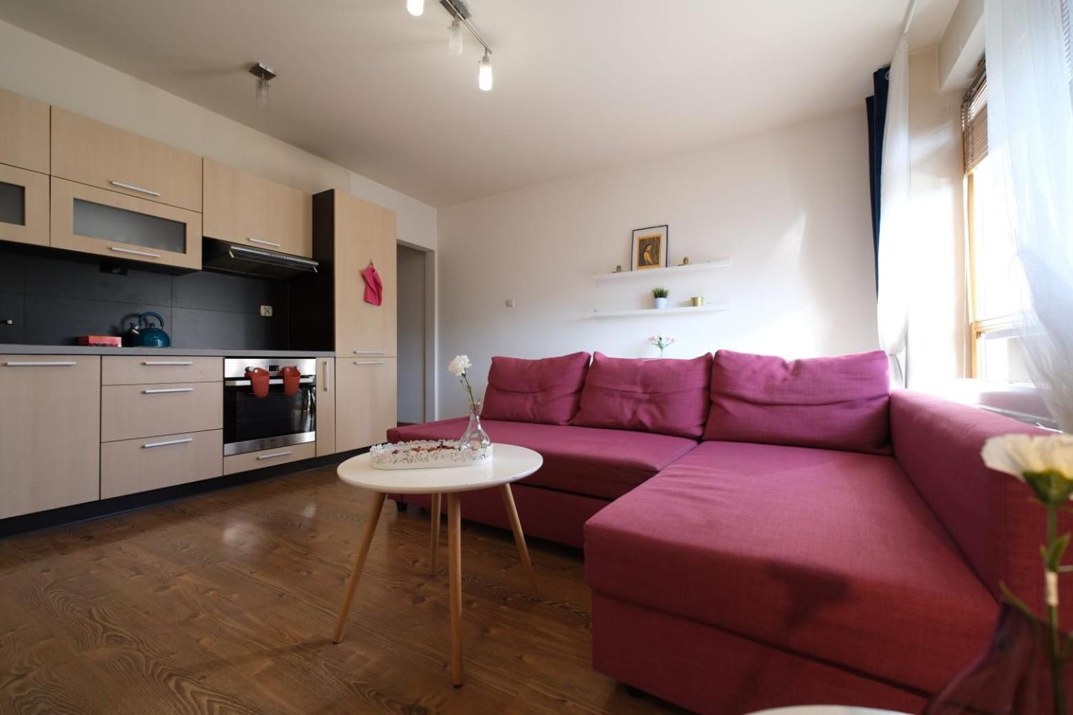 Przystan Dolnych Mlynow Apartman Krakkó Kültér fotó